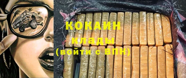 индика Алзамай