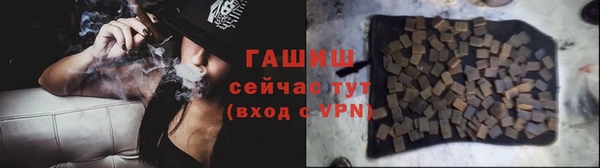 стаф Елизово