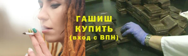 индика Алзамай