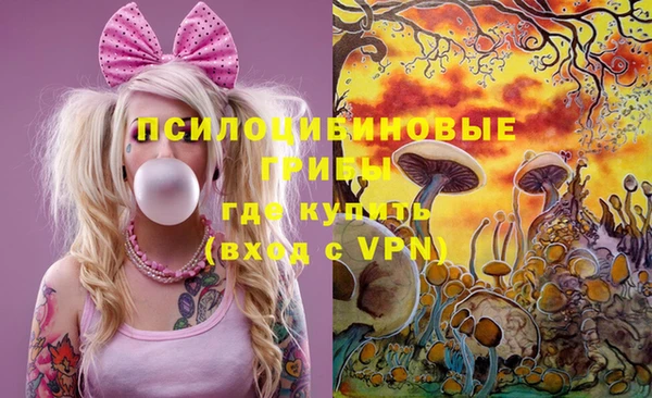 меф Алексин