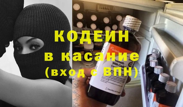 индика Алзамай
